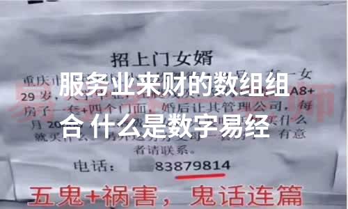 服务业来财的数组组合 什么是数字易经