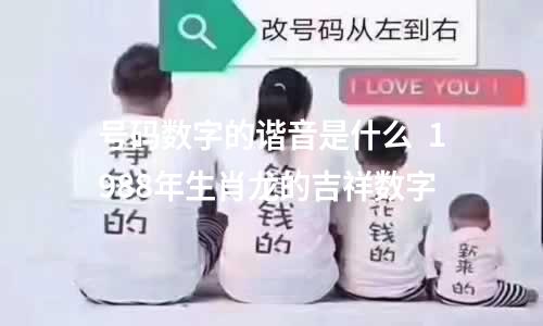 号码数字的谐音是什么  1988年生肖龙的吉祥数字