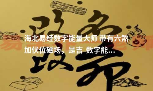 海北易经数字能量大师 带有六煞加伏位磁场，是吉  数字能量学组合数字149